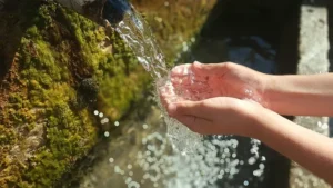 Masa Depan Air Global Ditentukan Lewat WWF Ke-10 di Bali