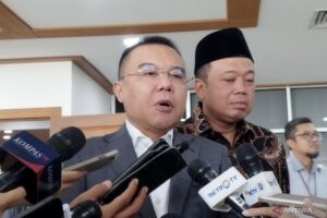 Sufmi Dasco: Tidak Ada Pelanggaran Aturan dalam Kampanye Pilkada Jawa Tengah