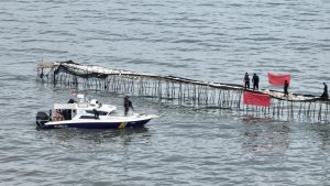 Mengapresiasi Ketegasan Pemerintah Bongkar Pagar Laut
