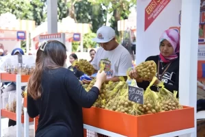Pemerintah Komitmen Tingkatkan Kuantitas dan Kualitas Pembiayaan UMKM