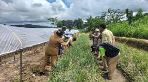 Sinergitas Pusat dan Pemprov Papua Barat Wujudkan Program Ketahanan Pangan Nasional