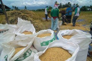 Koperasi Desa Merah Putih Diresmikan, Dorong Swasembada Pangan Nasional