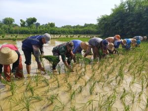 Efisiensi Logistik Pupuk Percepat Tercapainya Swasembada Pangan Indonesia