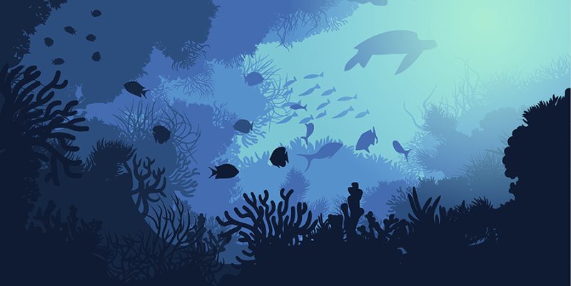 Program Ekonomi Biru Raih Dukungan Mancanegara