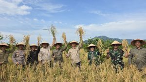 Pemerintah Terus Dorong Upaya Percepatan Swasembada Pangan