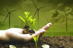 Pemerintah Mantapkan Komitmen Ekonomi Hijau pada COP 29