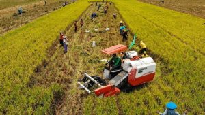 Pengamat Dukung Swasembada Energi dan Pangan Pemerintah