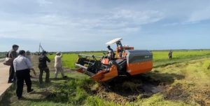 Sinergitas Pemerintah Pusat dan Pemerintah Daerah Wujudkan Swasembada Pangan Papua