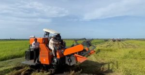 Program Swasembada Pangan Optimalisasi Penggunaan Lahan di Papua
