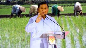 Pemerintah Perkuat Dukungan Infrastruktur untuk Percepat Swasembada Pangan