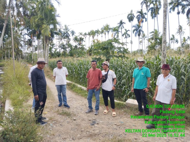 Guna Wujudkan Swasembada Pangan, Anggota DPRD Khairuddin Simanjuntak Bangun Jalan Usaha Tani di Kabupaten Pasaman