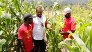 Langkah Nyata Pemerintah Wujudkan Ketahanan Pangan di Papua