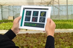 Pemerintah Adopsi Teknologi AI Percepat Swasembada Pangan