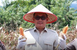 Sumbar Menuju Mandiri Pangan, DPRD Apresiasi Peran Petani