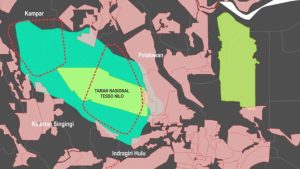 DPR Dukung Pemerintah Pusat dan Daerah Lindungi Taman Nasional Tesso Nilo